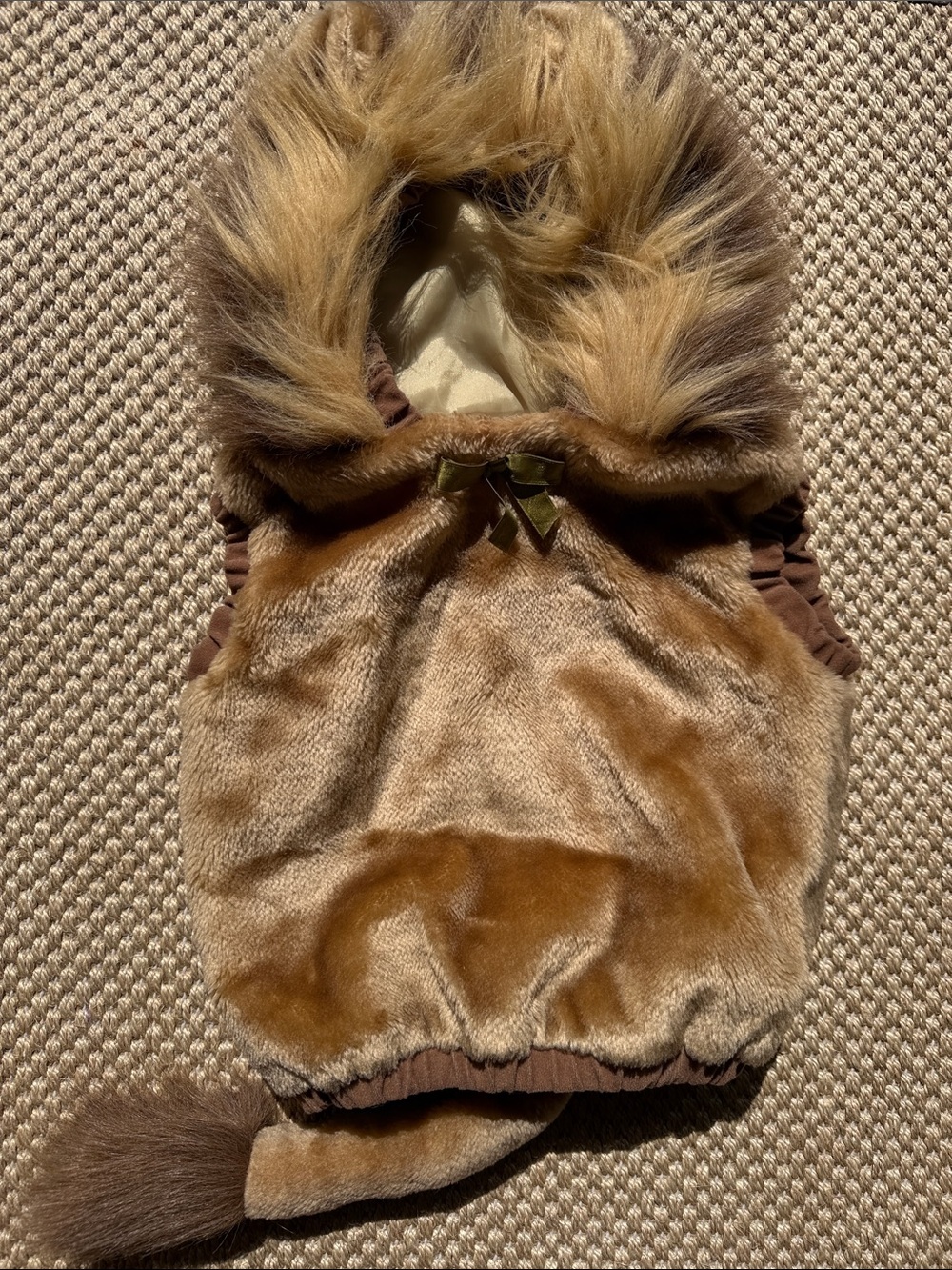 Pottery Barn Lion Costume 24 Month